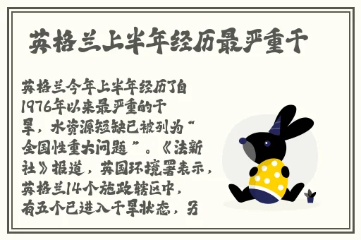 精品久久久久久中文字幕**最新